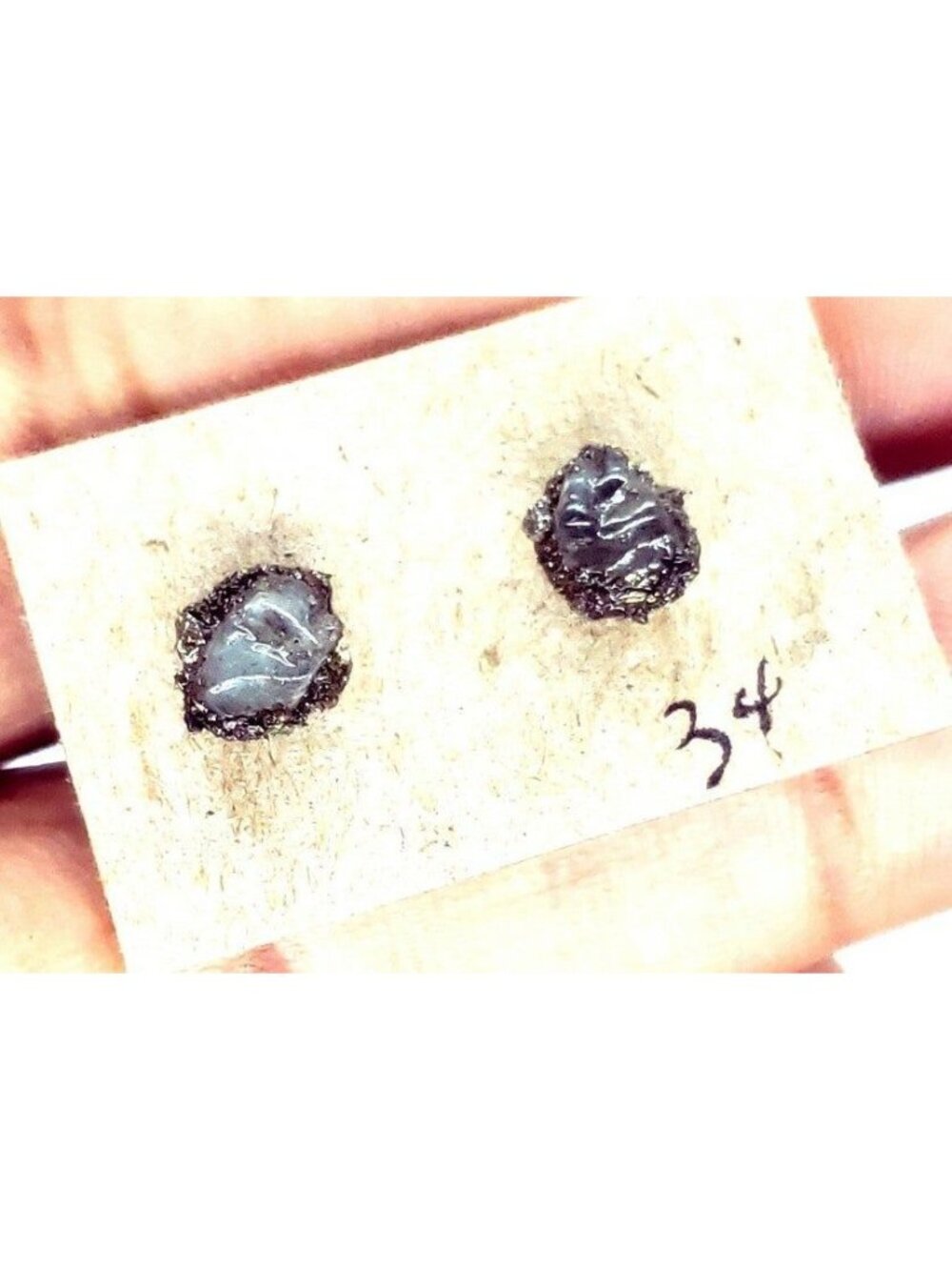 Apatite Stud Earrings #34